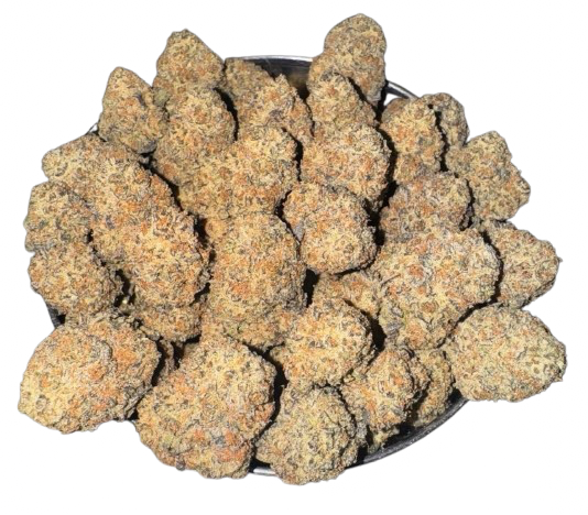 CANADA CALI 🇨🇦